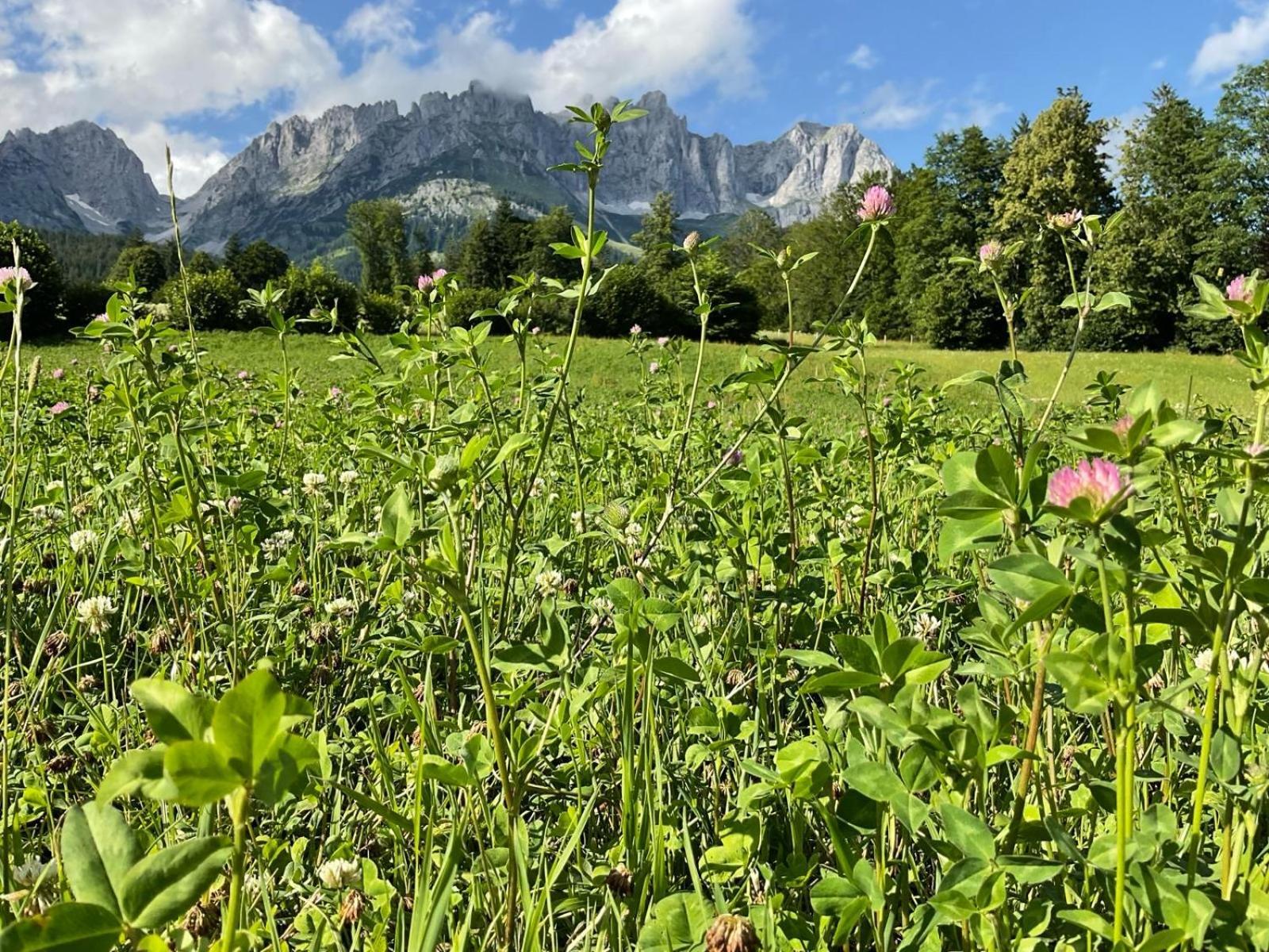 Chalet Belle Kitz By Belle Stay Kitzbuhel Bagian luar foto